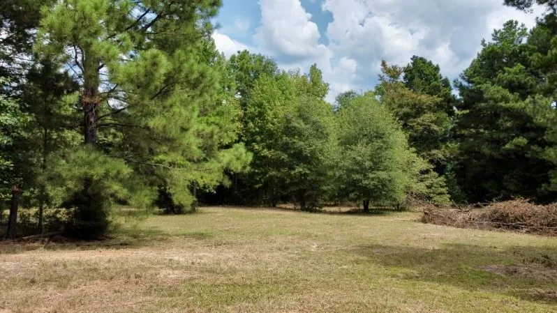 1317 Main Street Linden, TX 75563