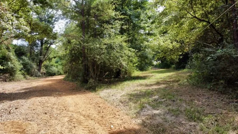 1317 Main Street Linden, TX 75563