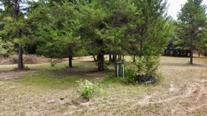 1317 Main Street Linden, TX 75563