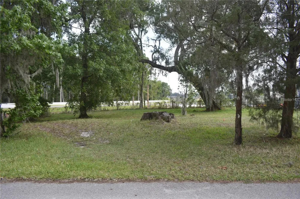 LOT 61 BLK C LEXINGTON CIRCLE Wildwood, FL 34785