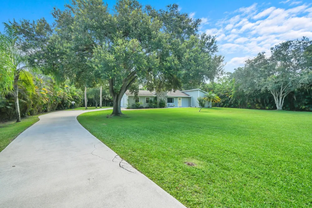 17644 ALEXANDER Run 