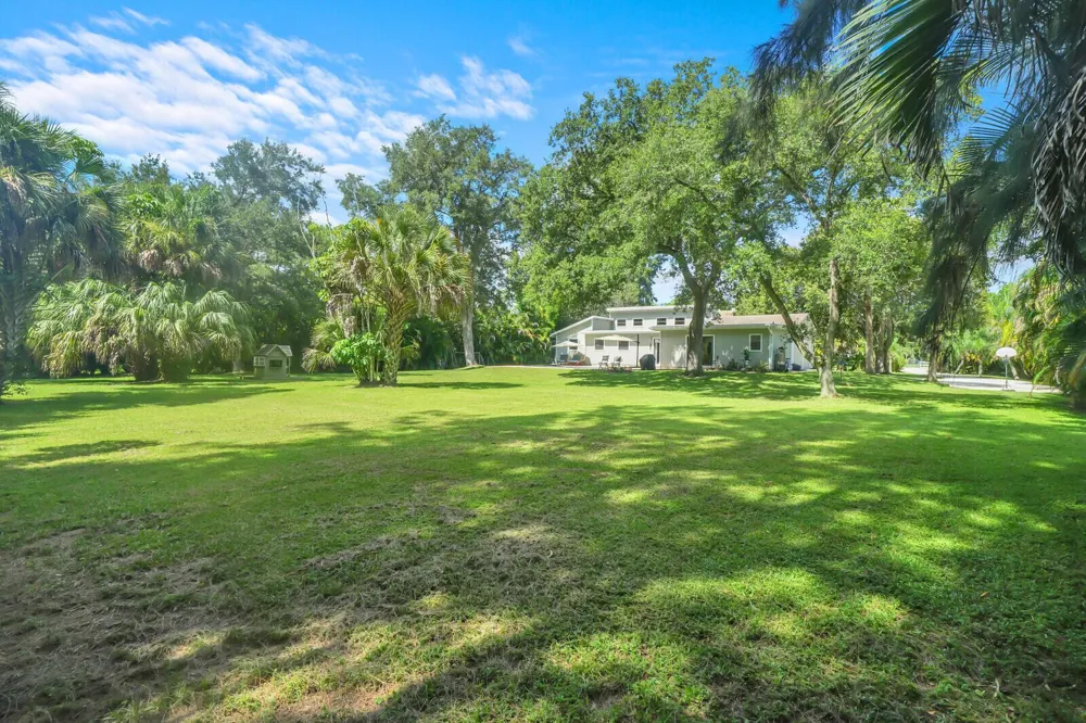 17644 ALEXANDER Run 