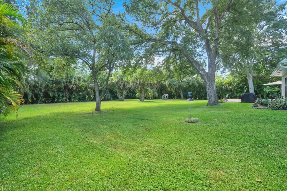 17644 ALEXANDER Run 