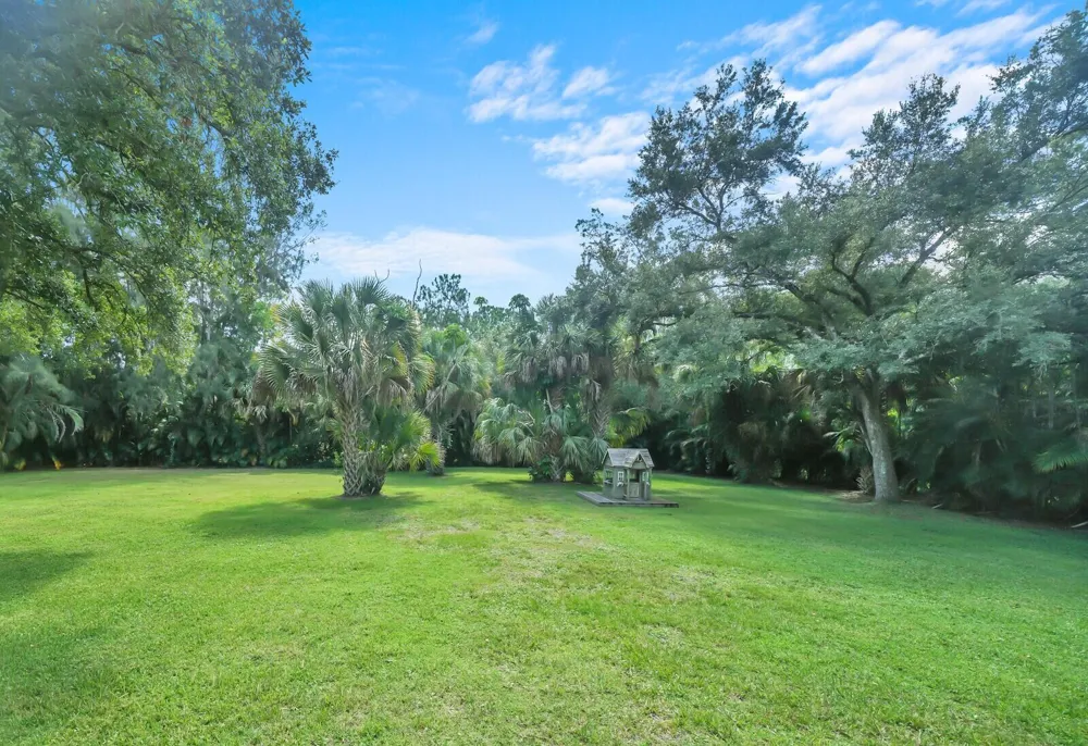 17644 ALEXANDER Run 