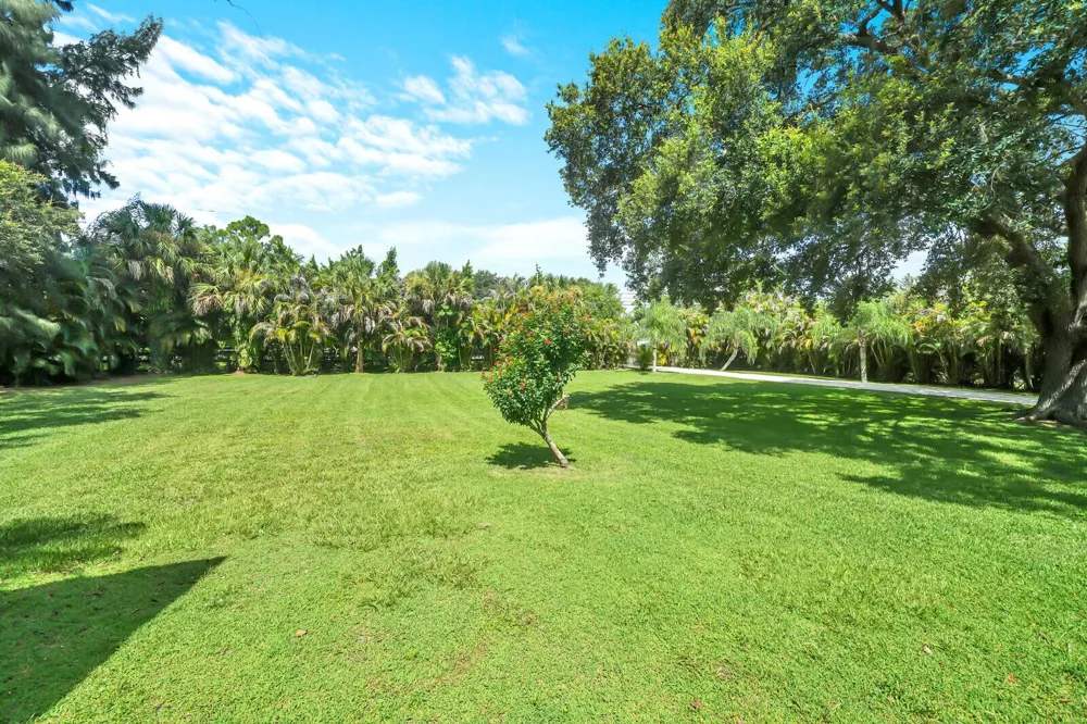 17644 ALEXANDER Run 