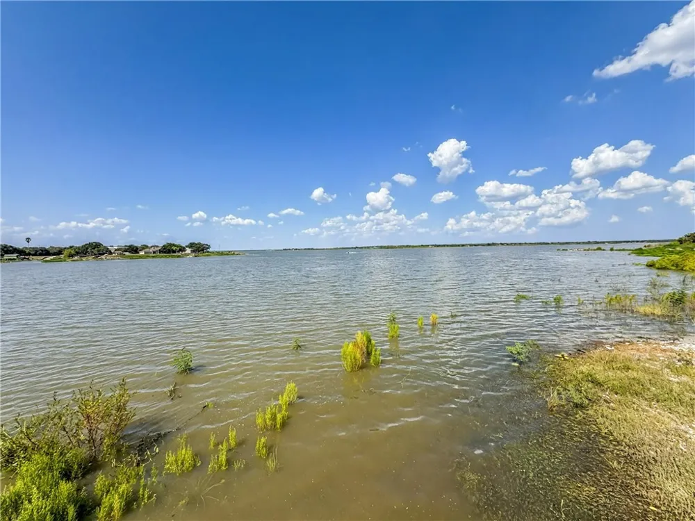 196 E Lake View Trail Sandia, TX 78383