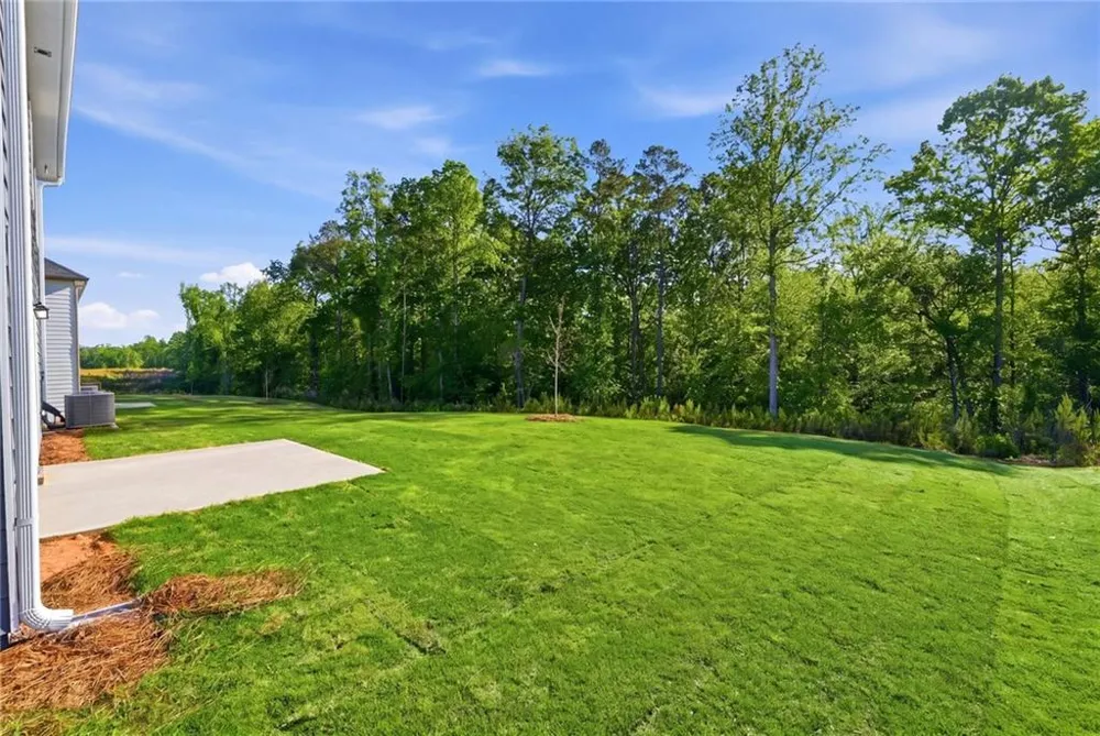 439 RIVER WALK FARM PARKWAY Covington, GA 30014