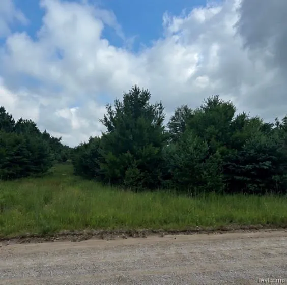 Fletcher Road Beaver Creek Township, MI 48653