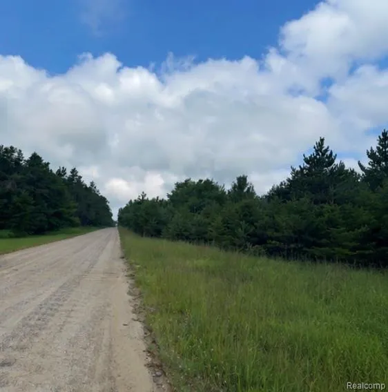 Fletcher Road Beaver Creek Township, MI 48653