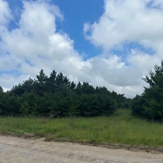 Fletcher Road Beaver Creek Township, MI 48653