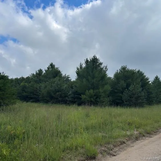 Fletcher Road Beaver Creek Township, MI 48653