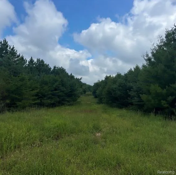 Fletcher Road Beaver Creek Township, MI 48653