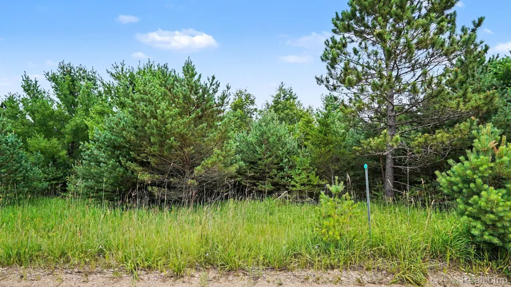 Fletcher Road Beaver Creek Township, MI 48653