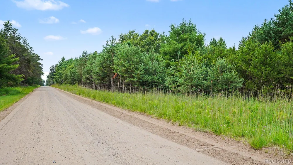 Fletcher Road Beaver Creek Township, MI 48653