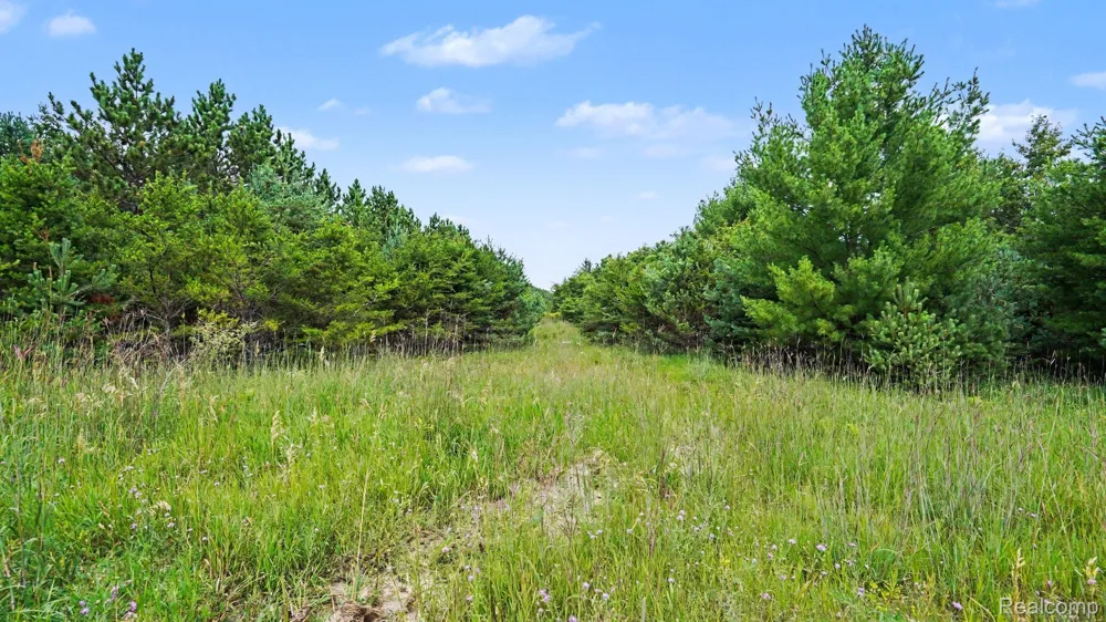 Fletcher Road Beaver Creek Township, MI 48653