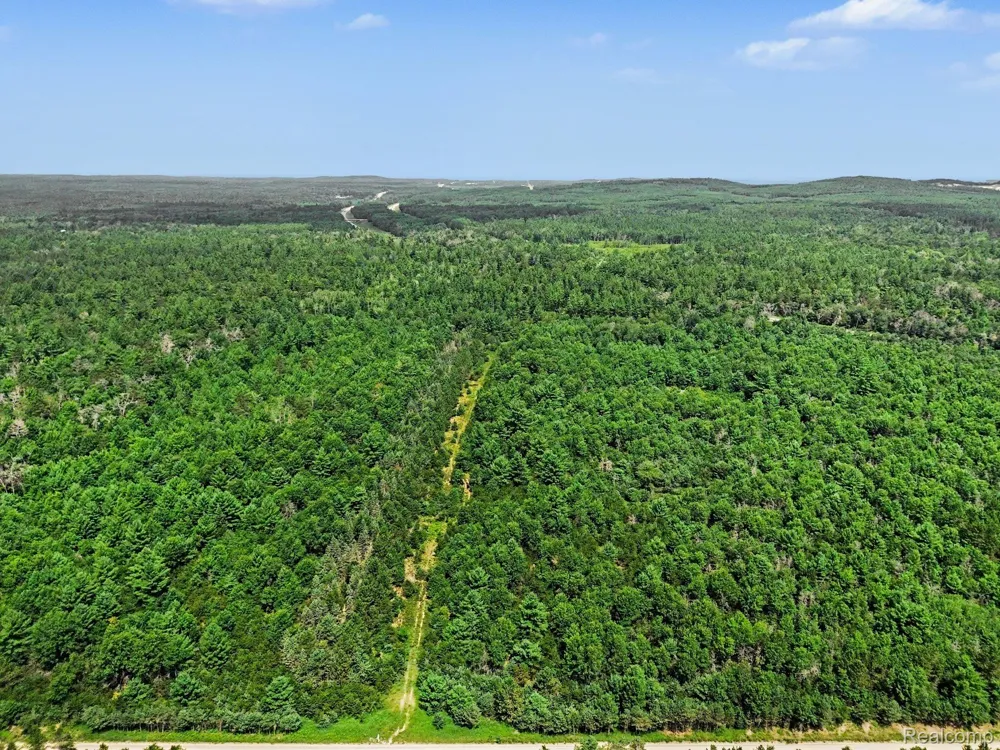 Fletcher Road Beaver Creek Township, MI 48653
