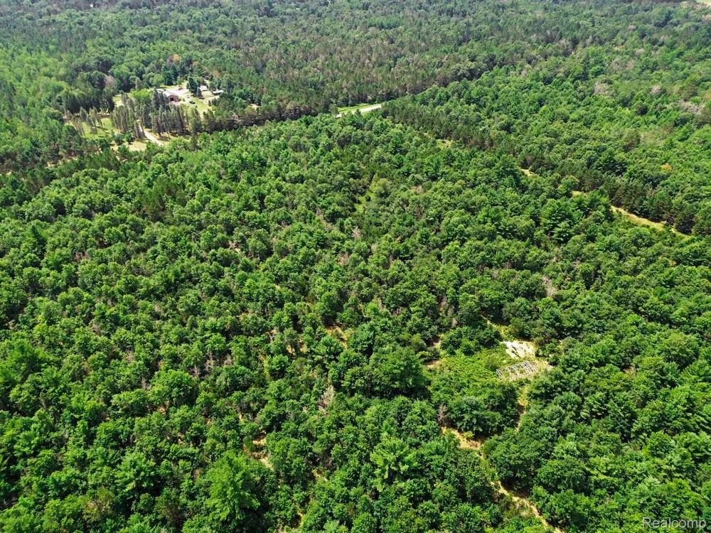 Fletcher Road Beaver Creek Township, MI 48653
