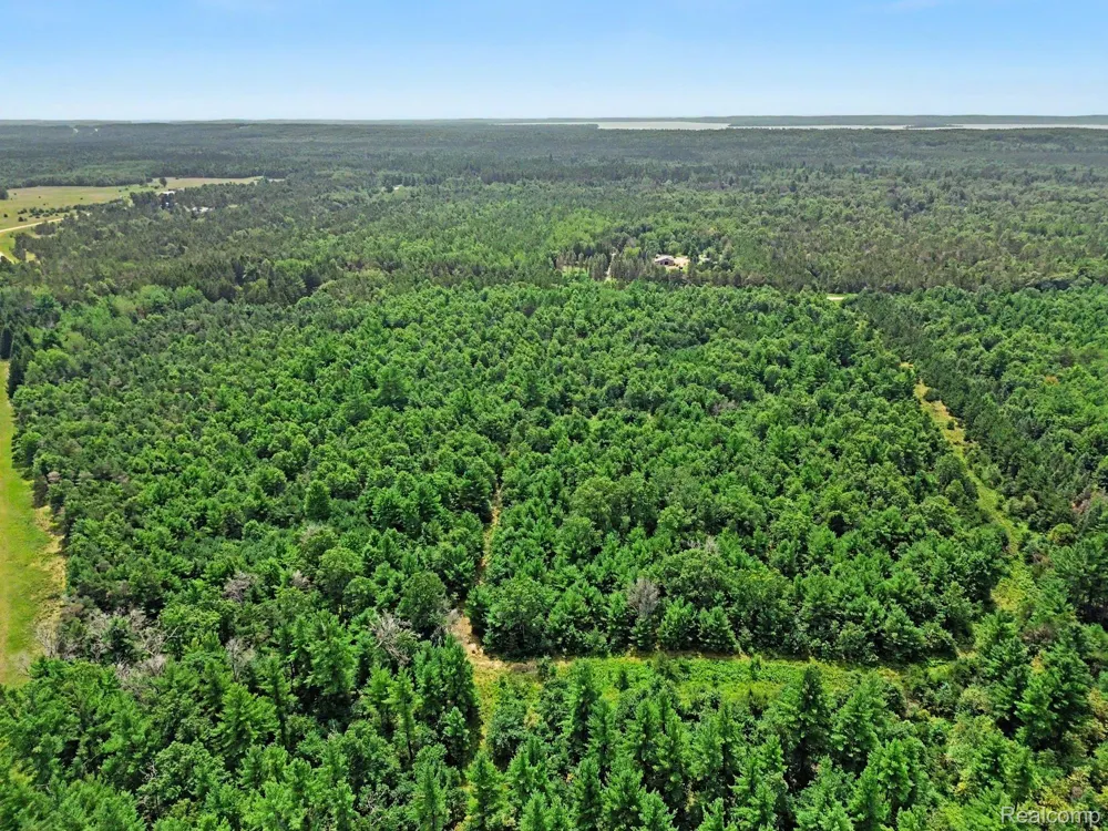 Fletcher Road Beaver Creek Township, MI 48653