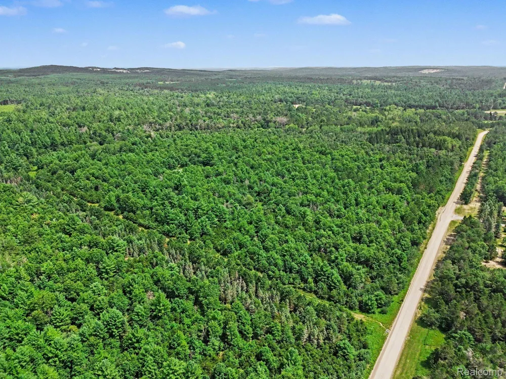 Fletcher Road Beaver Creek Township, MI 48653