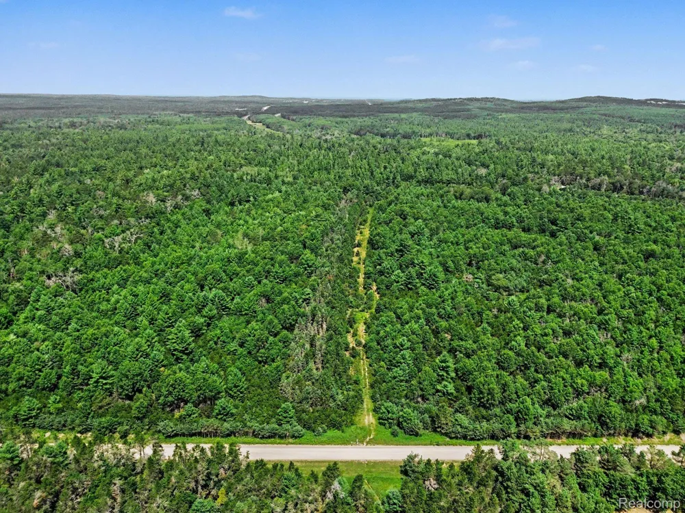 Fletcher Road Beaver Creek Township, MI 48653