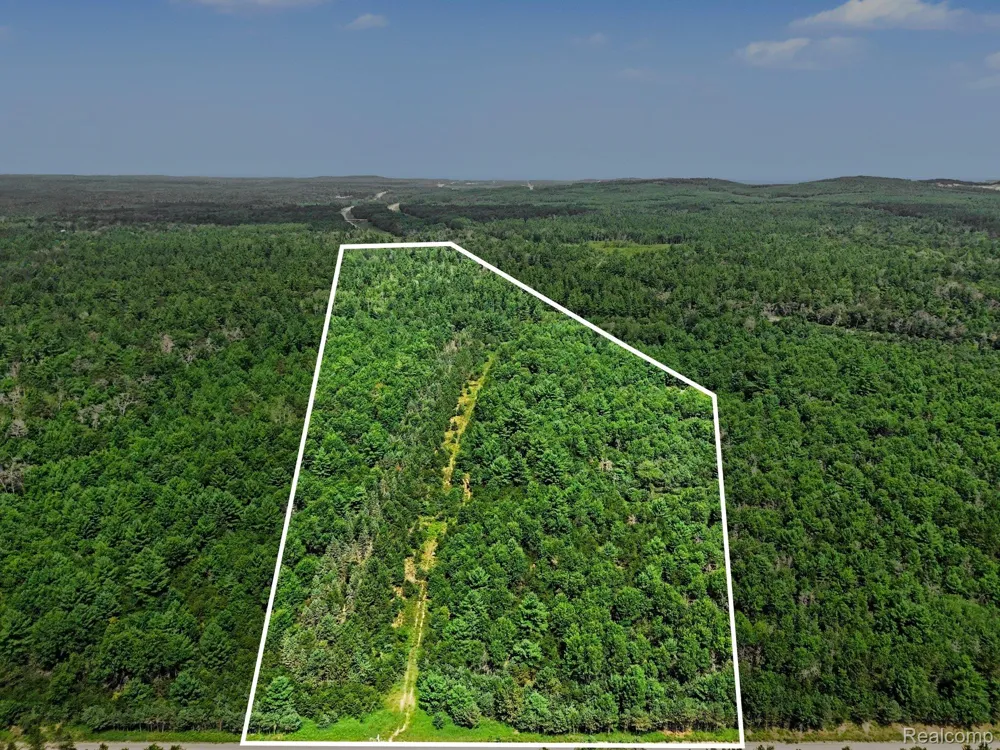 Fletcher Road Beaver Creek Township, MI 48653