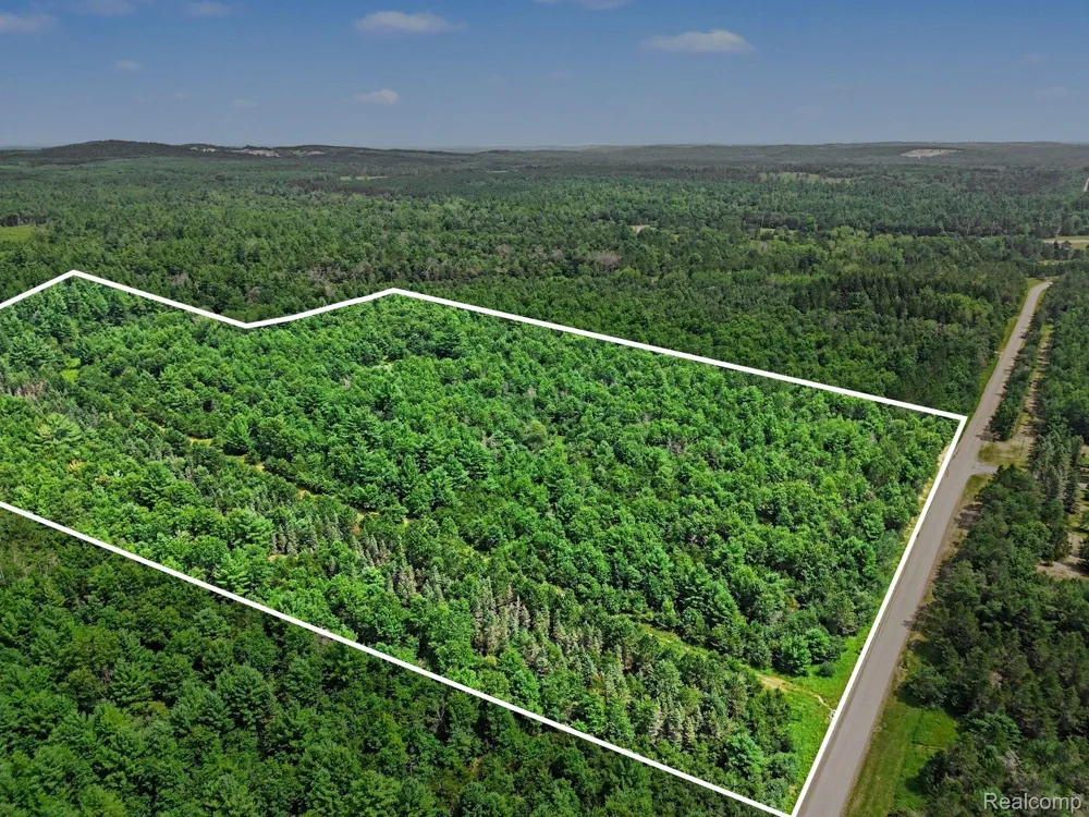 Fletcher Road Beaver Creek Township, MI 48653