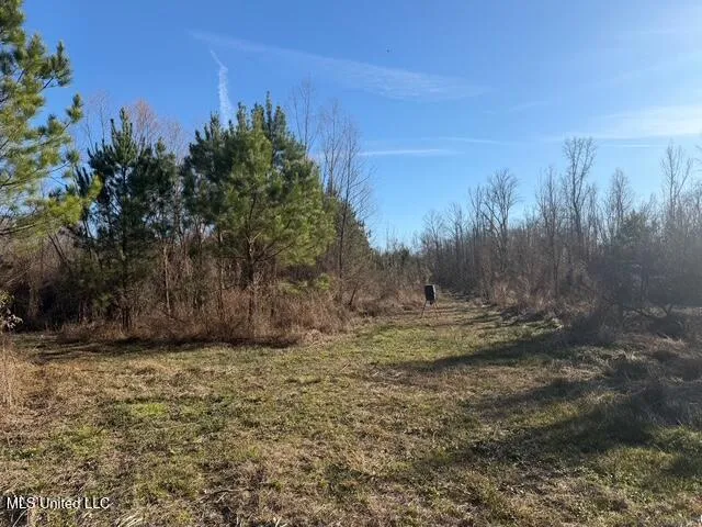 Raymond Road Jackson, MS 39212
