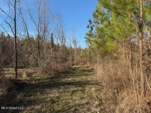 Raymond Road Jackson, MS 39212