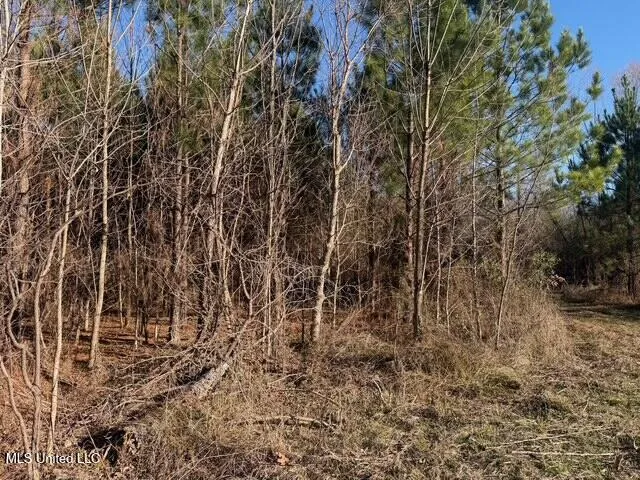 Raymond Road Jackson, MS 39212