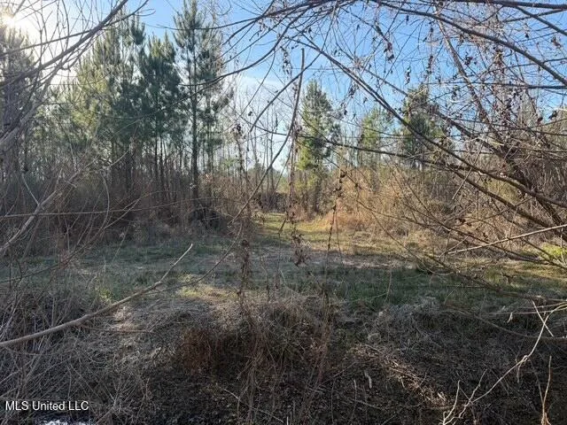 Raymond Road Jackson, MS 39212