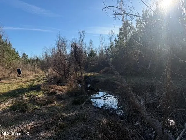Raymond Road Jackson, MS 39212