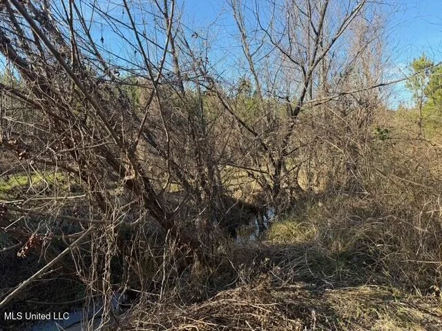 Raymond Road Jackson, MS 39212