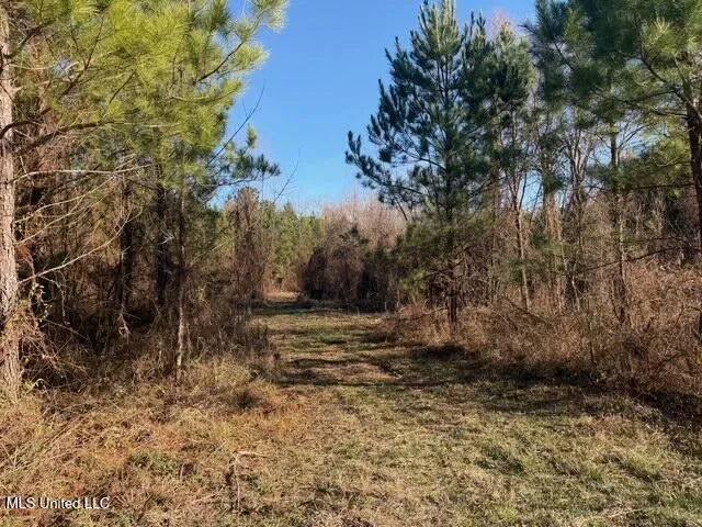 Raymond Road Jackson, MS 39212