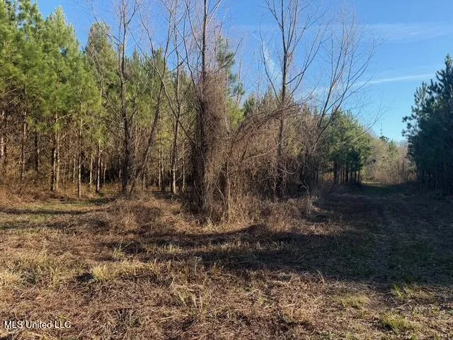 Raymond Road Jackson, MS 39212