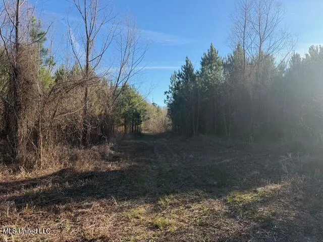 Raymond Road Jackson, MS 39212