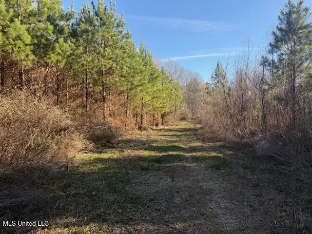 Raymond Road Jackson, MS 39212