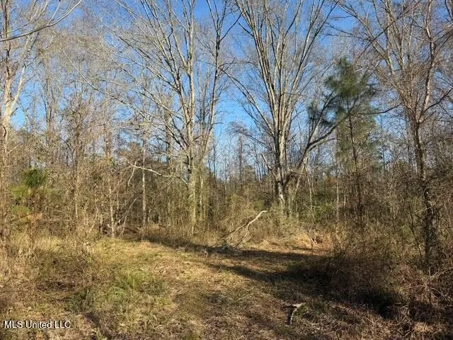 Raymond Road Jackson, MS 39212