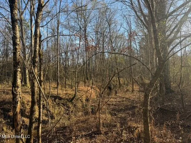 Raymond Road Jackson, MS 39212