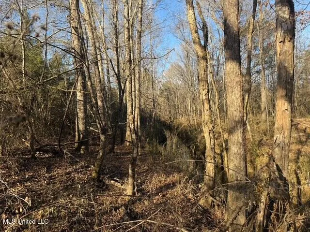 Raymond Road Jackson, MS 39212