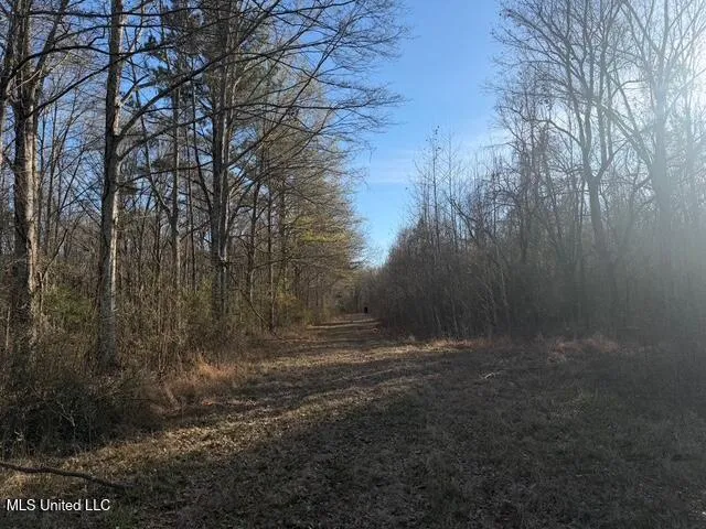 Raymond Road Jackson, MS 39212