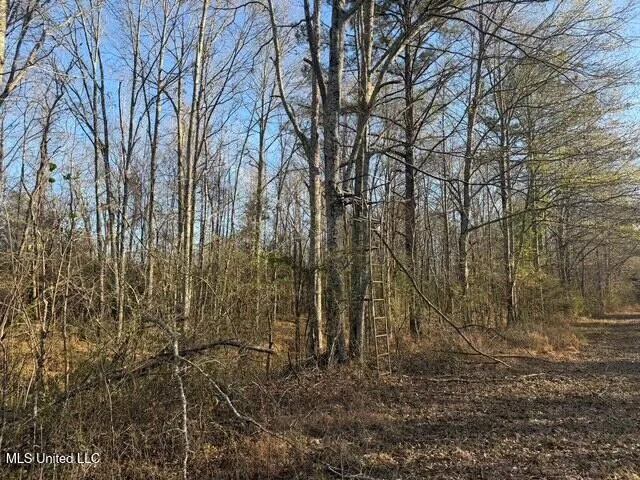Raymond Road Jackson, MS 39212