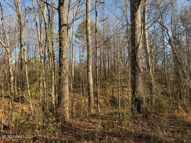 Raymond Road Jackson, MS 39212
