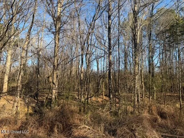 Raymond Road Jackson, MS 39212