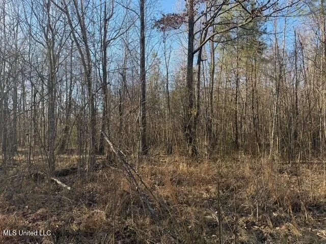 Raymond Road Jackson, MS 39212