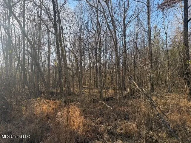 Raymond Road Jackson, MS 39212