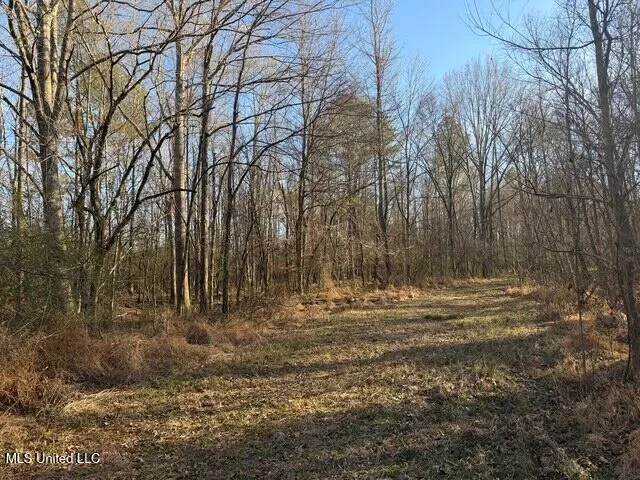 Raymond Road Jackson, MS 39212