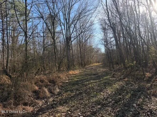 Raymond Road Jackson, MS 39212