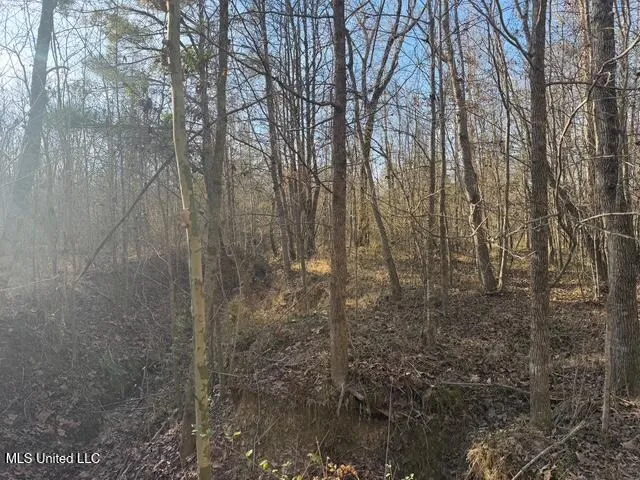 Raymond Road Jackson, MS 39212