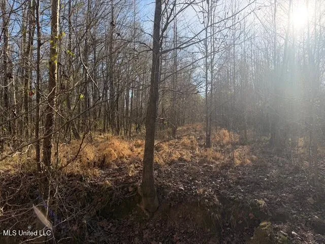 Raymond Road Jackson, MS 39212