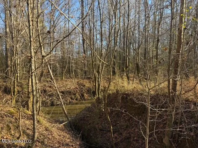 Raymond Road Jackson, MS 39212